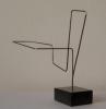 Escultura "Descrici�n lineal no espacio XXV"