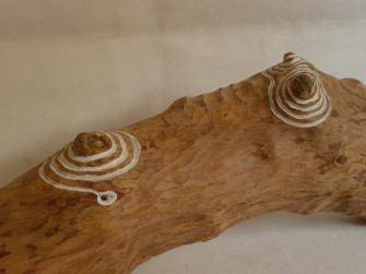  - Ver escultura en detalle